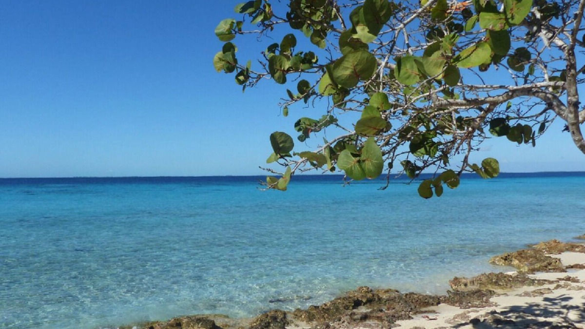 Municipality of Cienaga de Zapata Bed & Breakfast | Casa Barby y Arturo