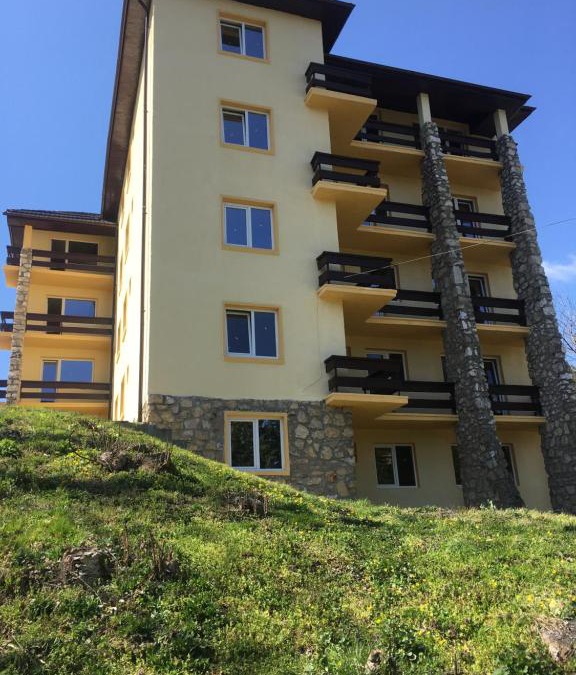 Geoagiu Apartment | Casa Bocan