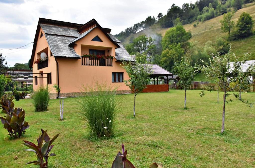 Vidra Cabin | Casa Boglea