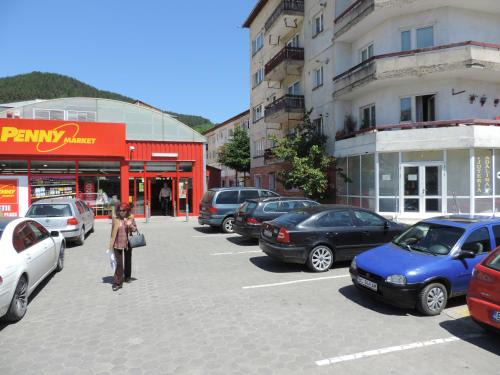 Tirgu Ocna Apartment | Casa BUCUR