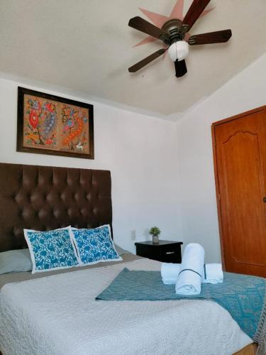 San Sebastian Xolalpa House | Casa Cactus