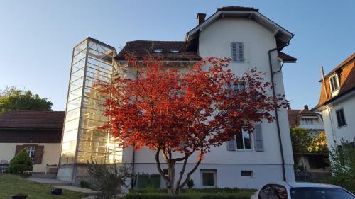Solothurn House | Casa Carmela