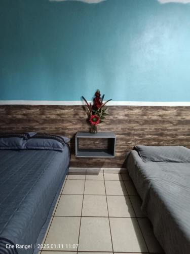 Zamora House | Casa Cartagena
