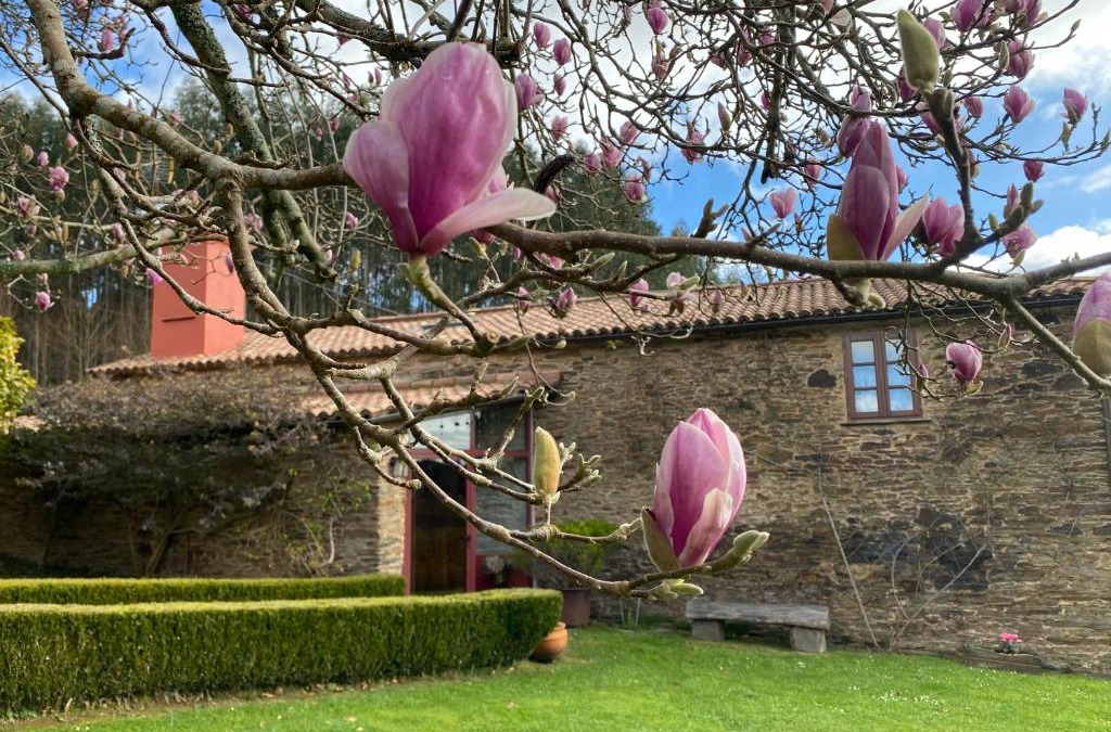 Valdovino House | Casa Castro de Crecente