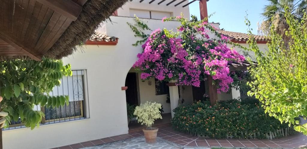 Los Barrios House | Casa Chalet Las Camelias