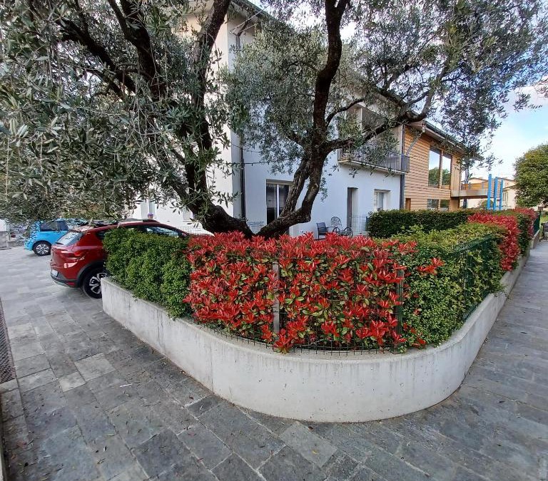 Marostica Bed & Breakfast | Casa Ciliegi 3