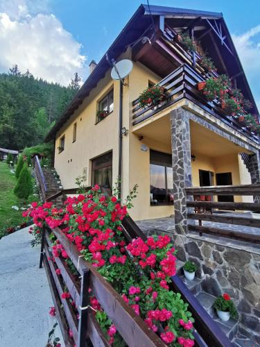 Lacu Rosu House | Casa Codrilor