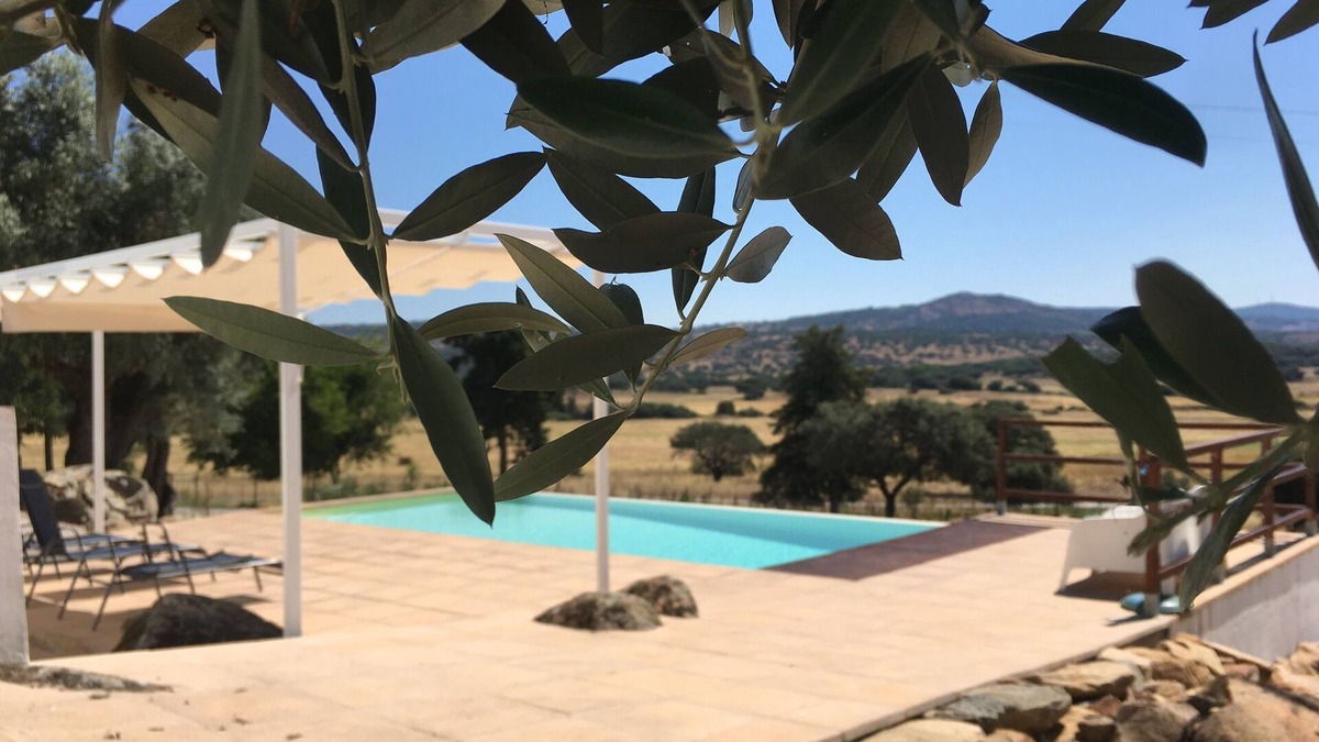 Fortios Other | Casa Cordovil - Almojanda 3 Olive Tree