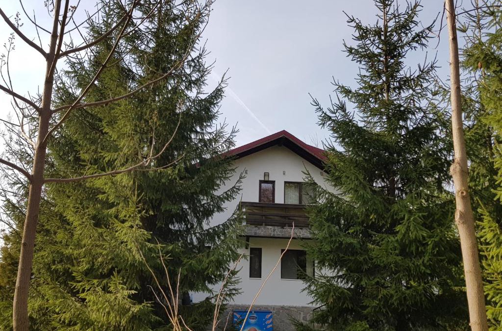 Provita de Jos House | Casa cu brazi