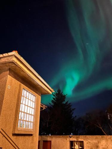 Heimar Apartment | Casa Dísa - Apartments A Boutique Guesthouse in Reykjavik City`s Central Park and Botanical Garden in Laugardalur, Hot-Spring-Valley