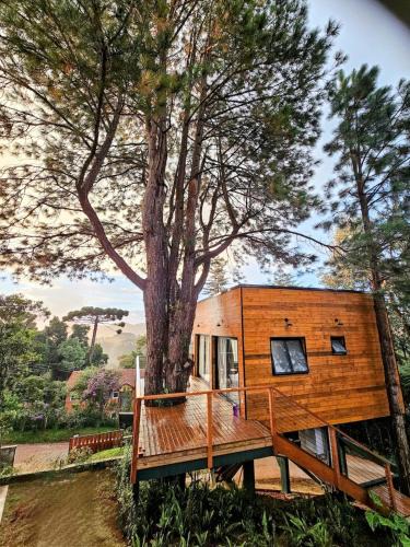 Alto da Boa Vista Ski Chalet | Casa da Árvore - ManTeQuiero