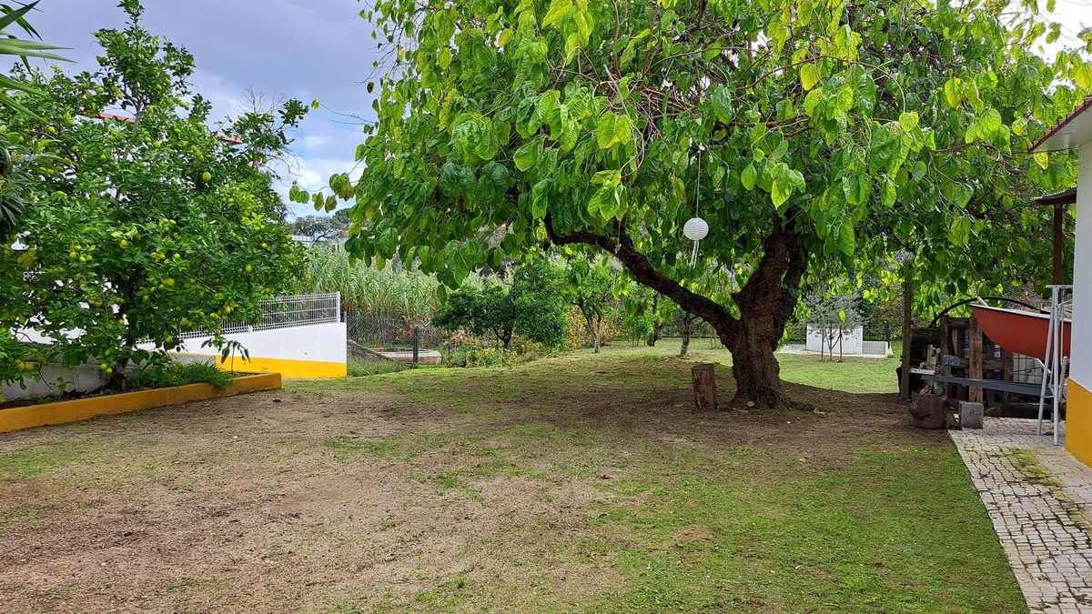 Montargil House | Casa da Amoreira - Barragem de Montargil