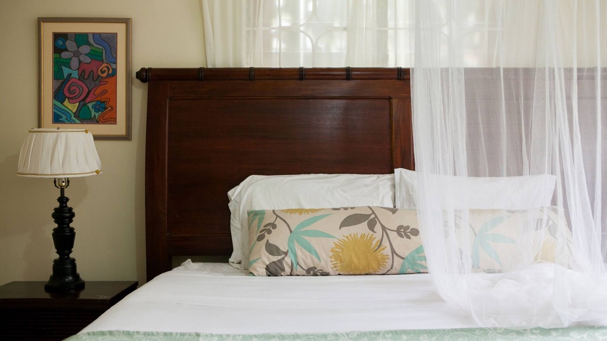 Mandeville Apartment | Casa da Buena Vista B&B Apt 1 | 4 mins to town/NCU