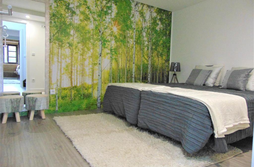 Cimbres Apartment | Casa da Fonte