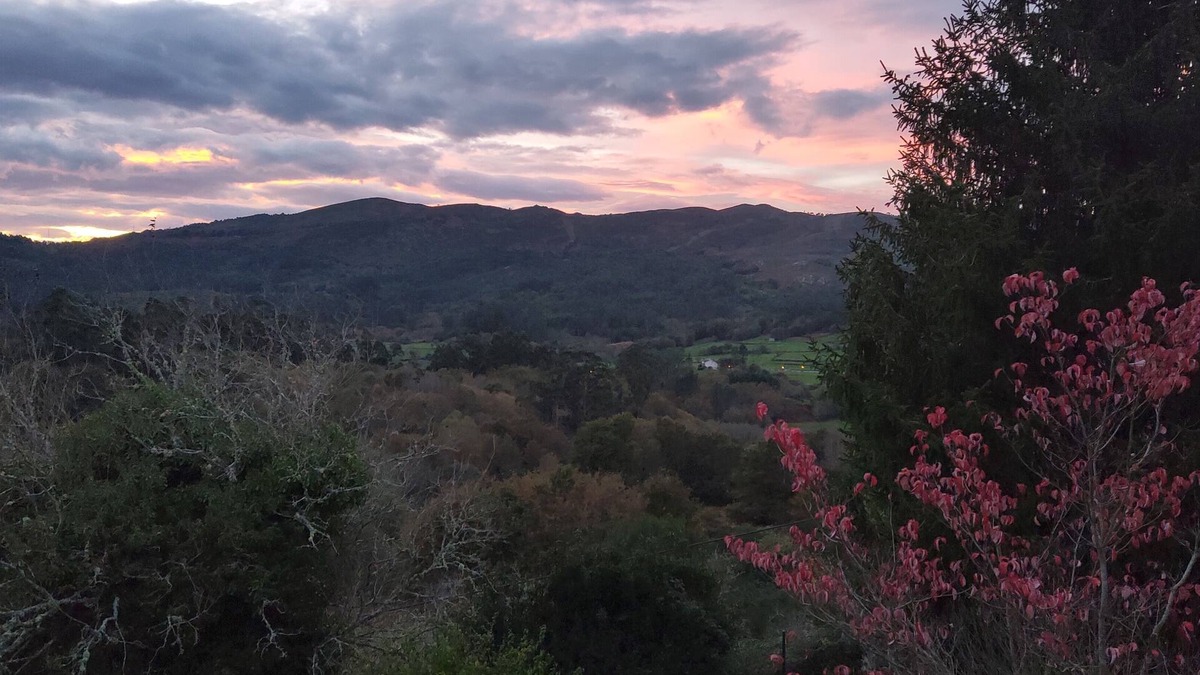 Cerdedo Cottage | Casa da Labaceira (for 7 people)