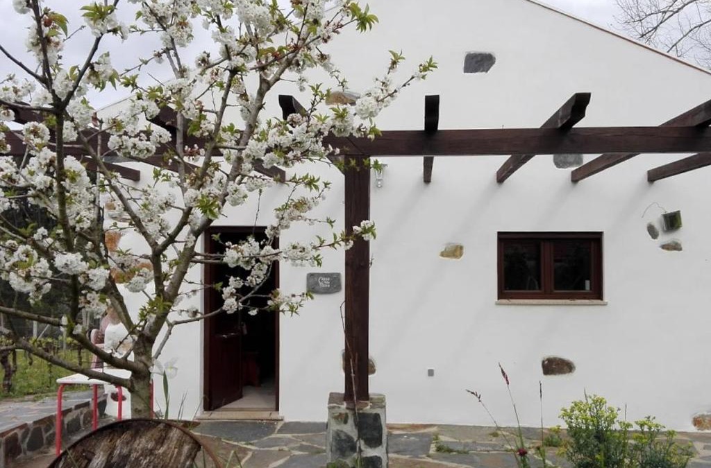 Figueira de Lorvao House | Casa da Tileira