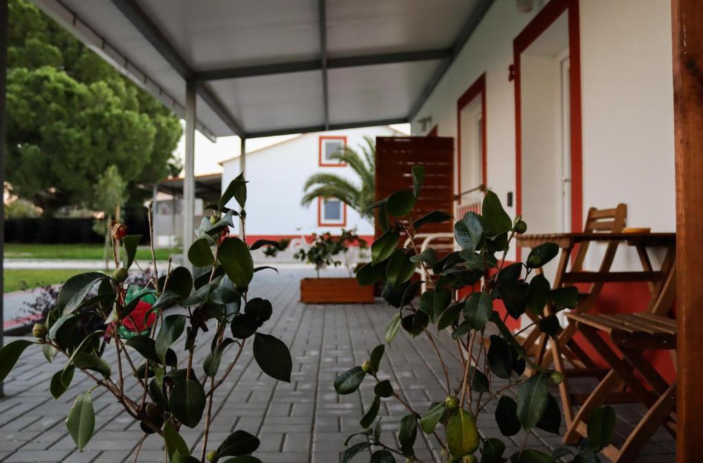 Palhais House | Casa das Pipas #2