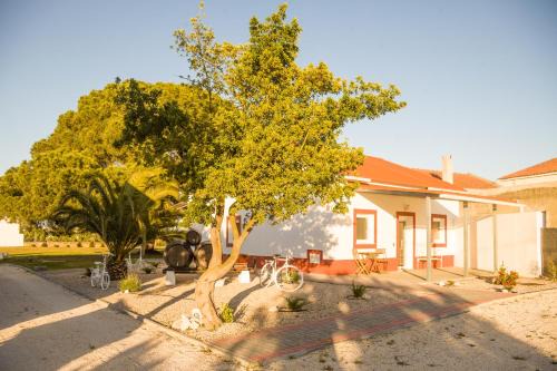 Palhais House | Casa das Pipas #4