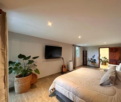 Pereira Villa | Casa de Ali