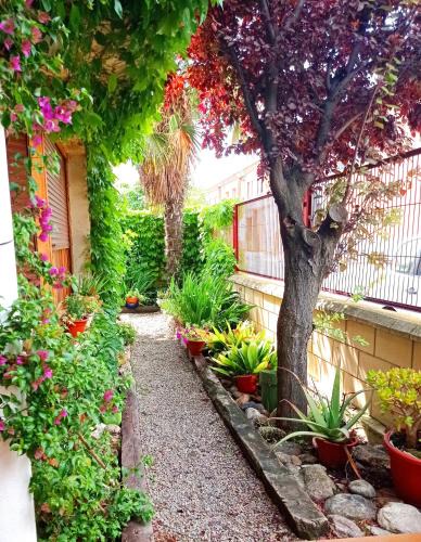 Murchante House | Casa de Antonio MURCHANTE