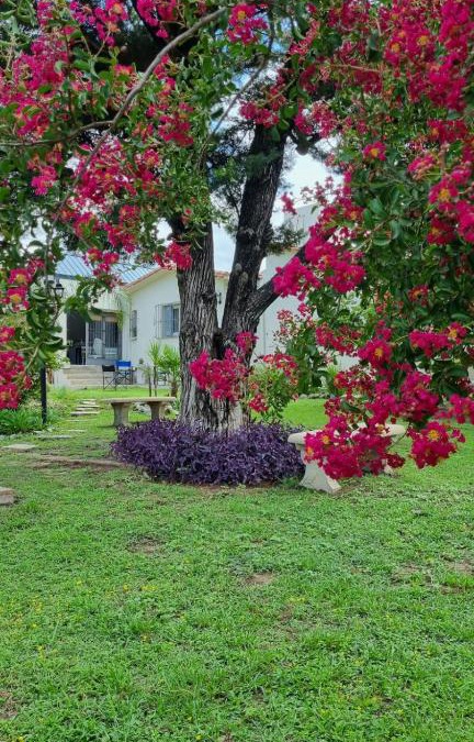 Alta Gracia House | Casa de Campo - Don Bosco