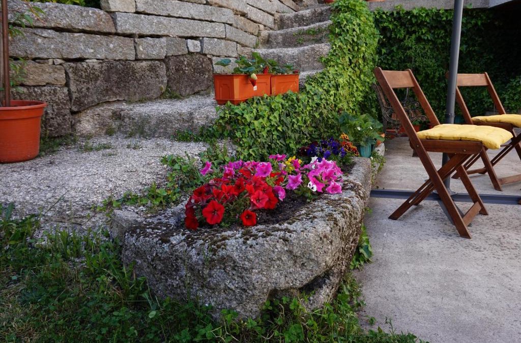 Montalegre e Padroso House | Casa de Campo Neves
