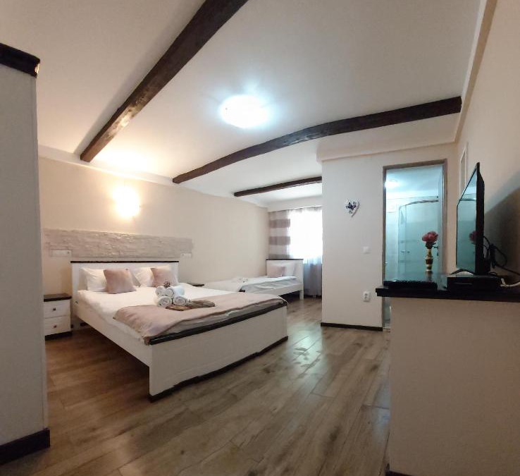 Moldovenesti Villa | Casa de oaspeti Abby cu piscina si jacuzzi
