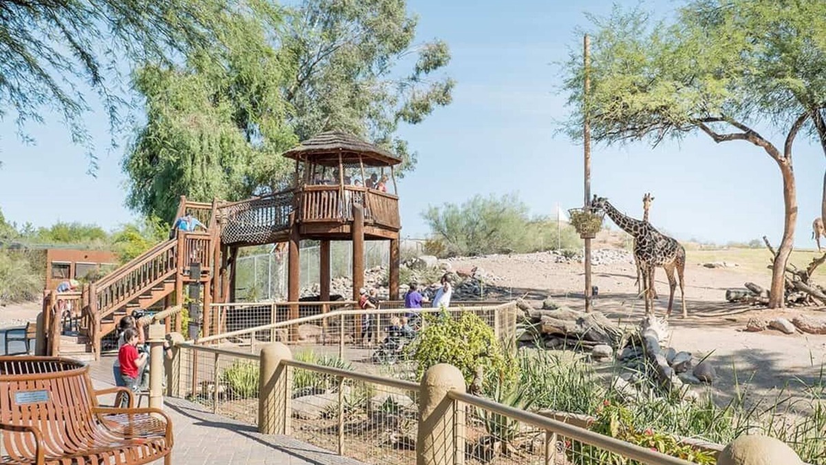 Apache Junction House | Casa De Paz -Pool | Hot Tub |Game Room