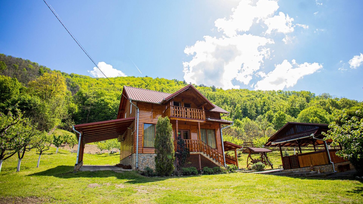 Pianu de Sus Cabin | Casa de Vacanta Hanes