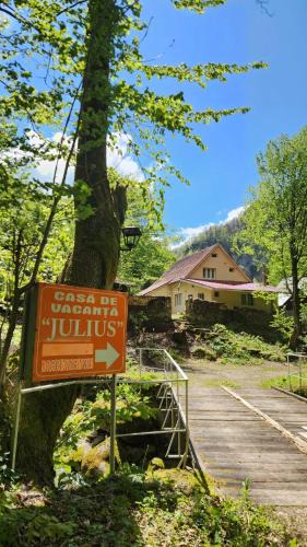 Pietroasa Cabin | Casa de vacanta Julius