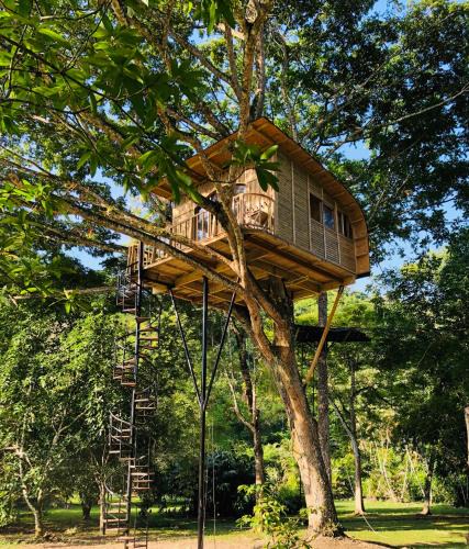 La Pena Villa | Casa del Árbol Colombia
