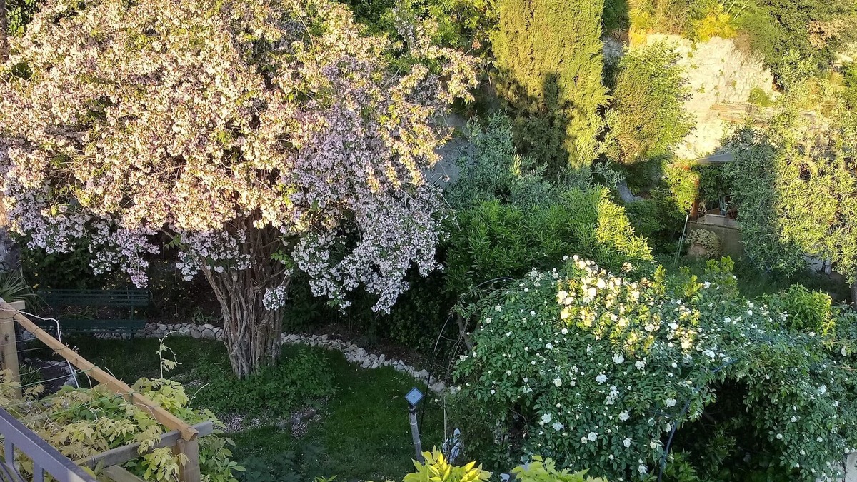 Cesi House | Casa del glicine