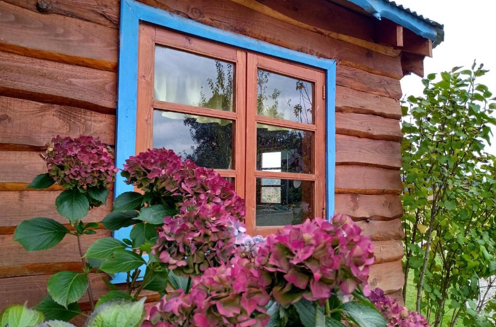 Araucania Region Cabin | Casa del rio