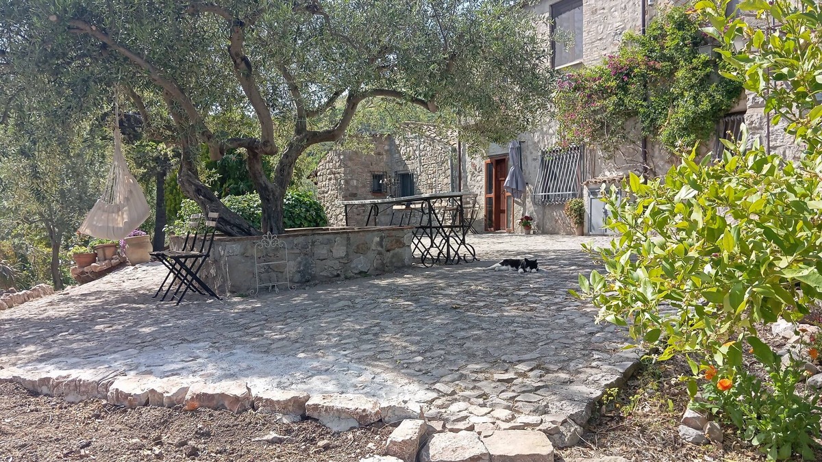 Madonie National Park House | Casa del Vento in San Cono, ancient stone dwelling among olive trees