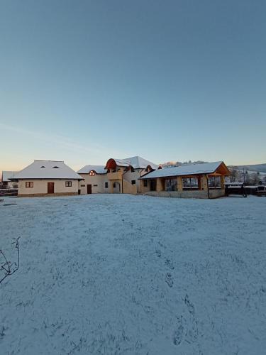 Manastirea Humorului Ski Chalet | Casa Delia