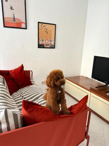 Pesaro Apartment | Casa dell'Opera