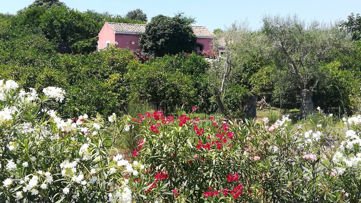 Archi House | Casa della Camelia-the quintessential country getaway close to all attractions
