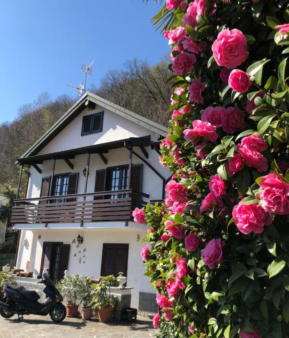 Gravellona Toce House | Casa delle azalee