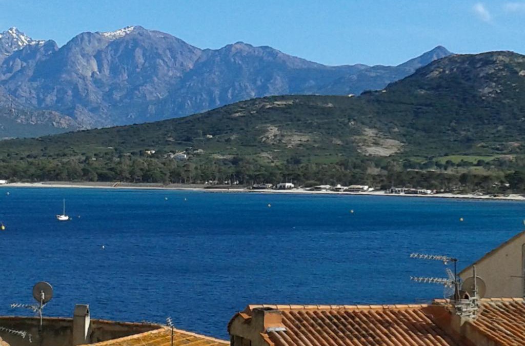 Calvi Apartment | Casa di a Murza