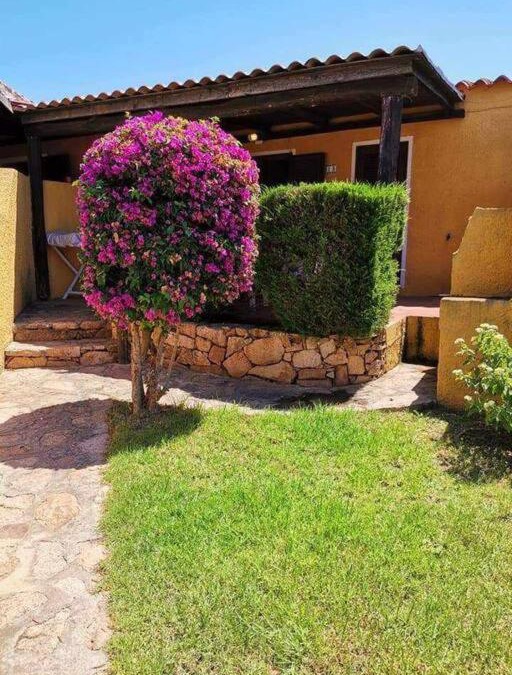Porto Pollo Apartment | Casa di Giò - Bilocale con giardino