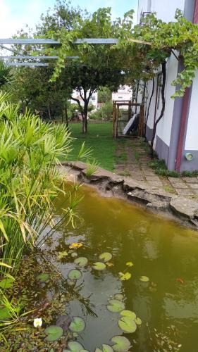 Vila de Rei House | Casa do Lago