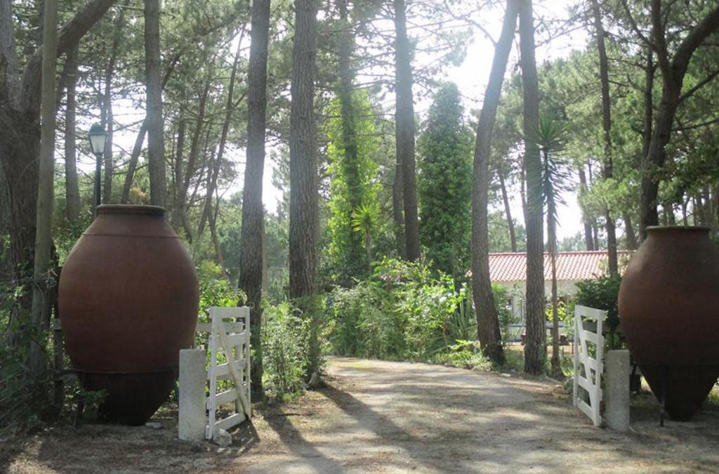Fornos House | Casa do Páteo