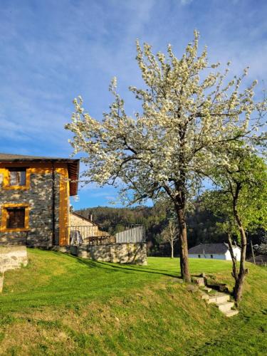 Valdes House | Casa el Fanoso