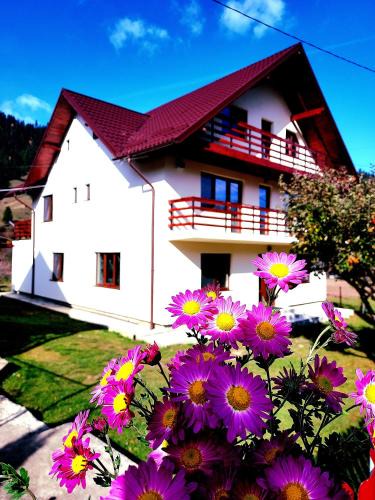 Durau House | Casa Elena