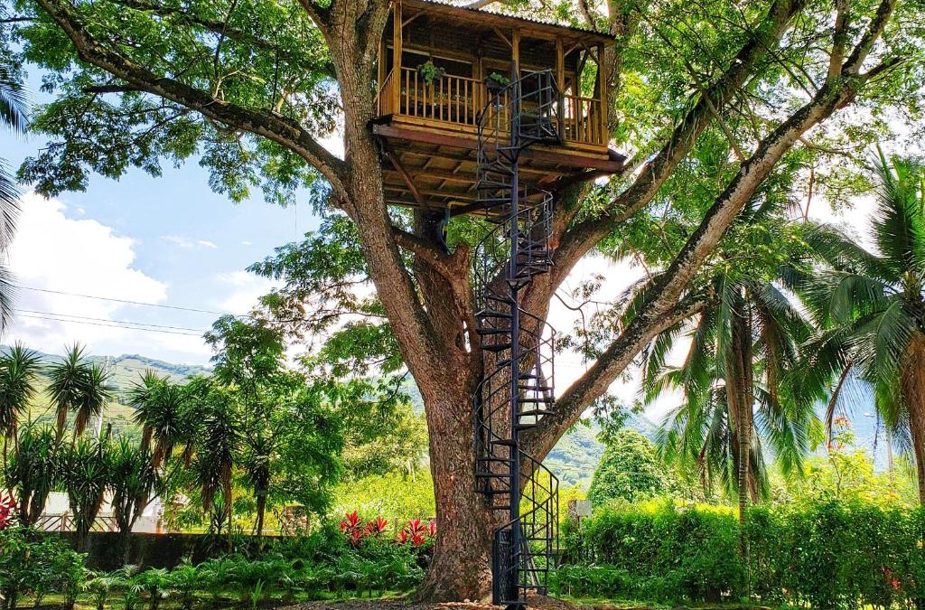 Utica Cabin | Casa en el Arbol