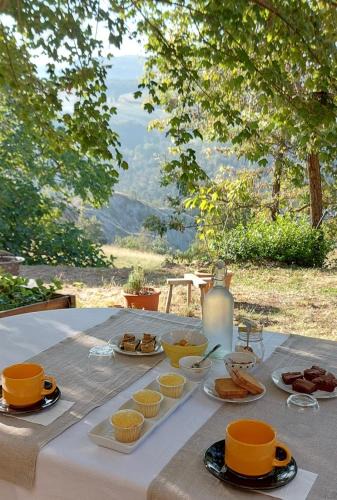 Casina Bed & Breakfast | Casa Febe