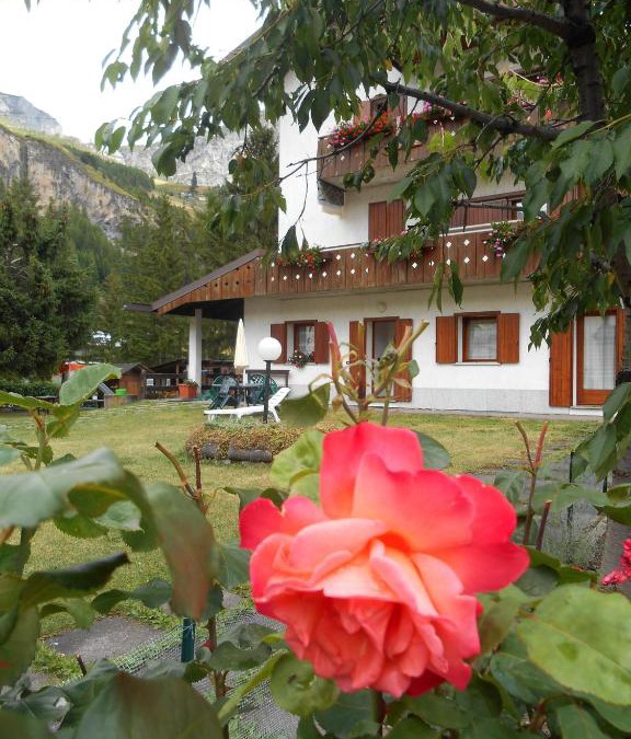 Isolaccia Apartment | Casa Federica