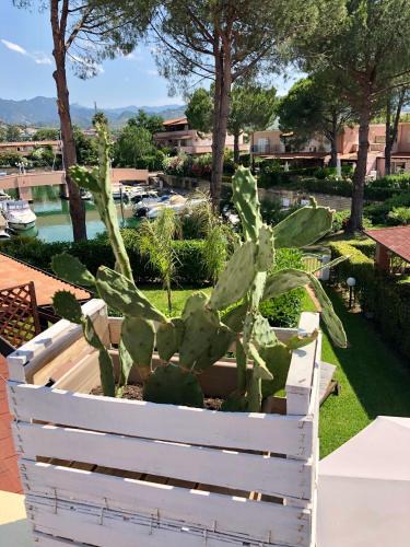 Tonnarella Apartment | Casa FiLu’ a Portorosa Baia dei Delfini