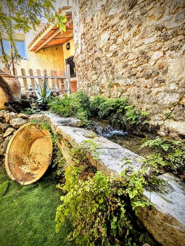 Anna House | Casa Fina