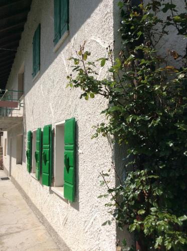 Belluno House | Casa Fiorellino